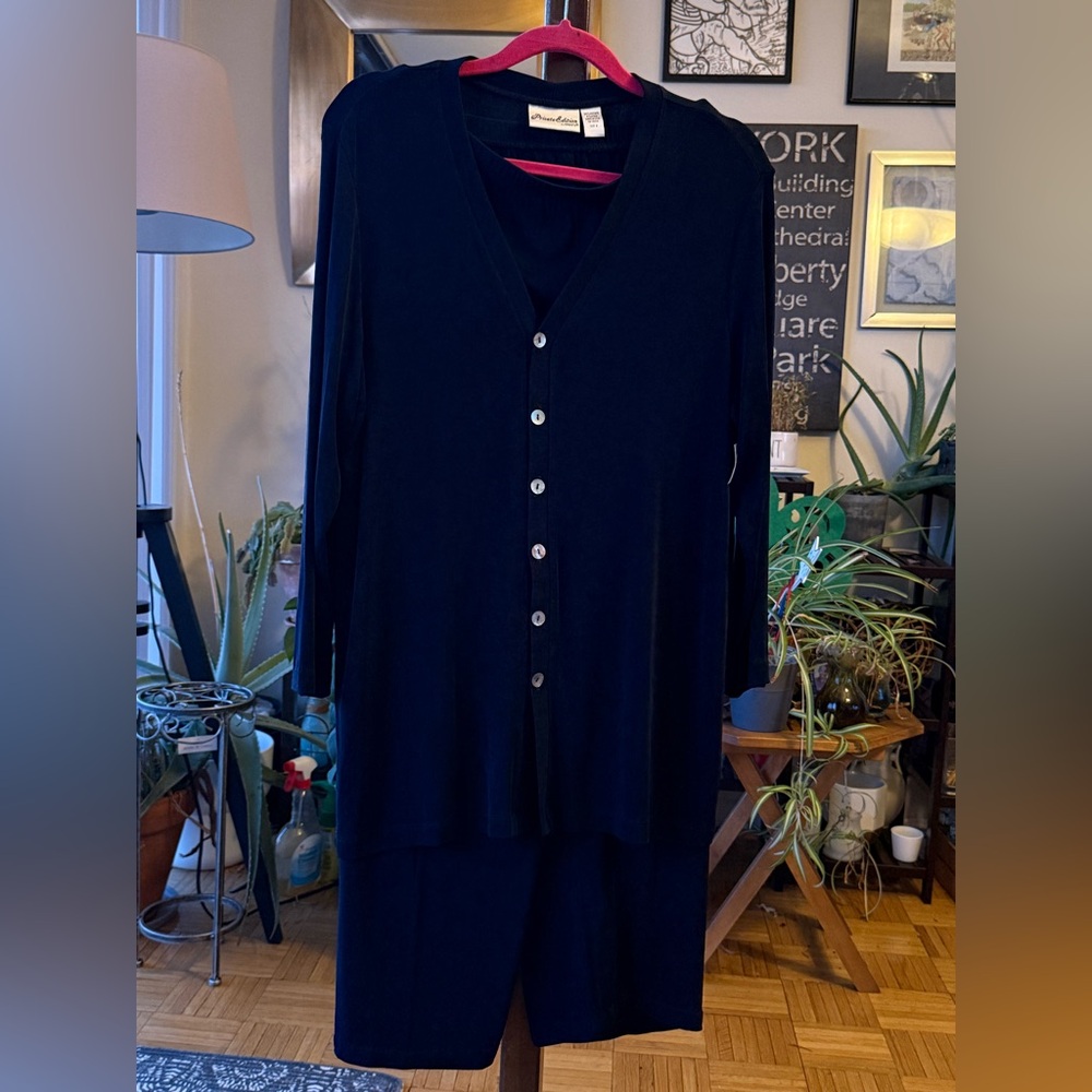 #30  EUC Private Edition by CHICOS 2 Piece Navy Blue Pants Set